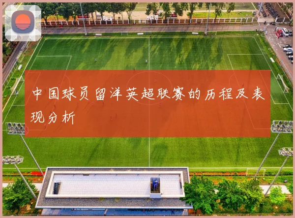 中国球员留洋英超联赛的历程及表现分析