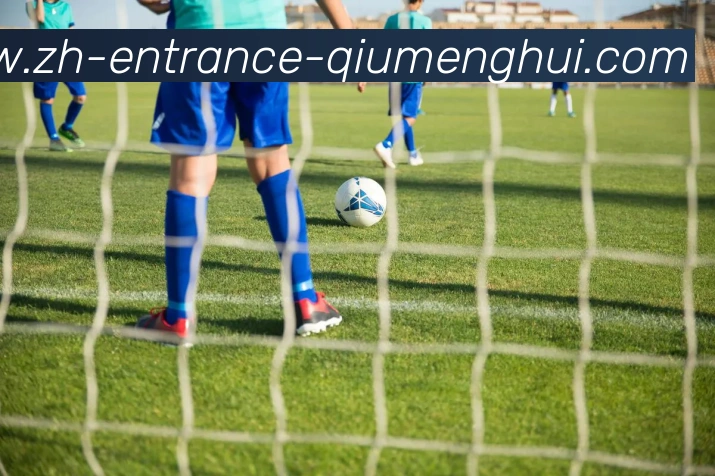 球盟会发展历程